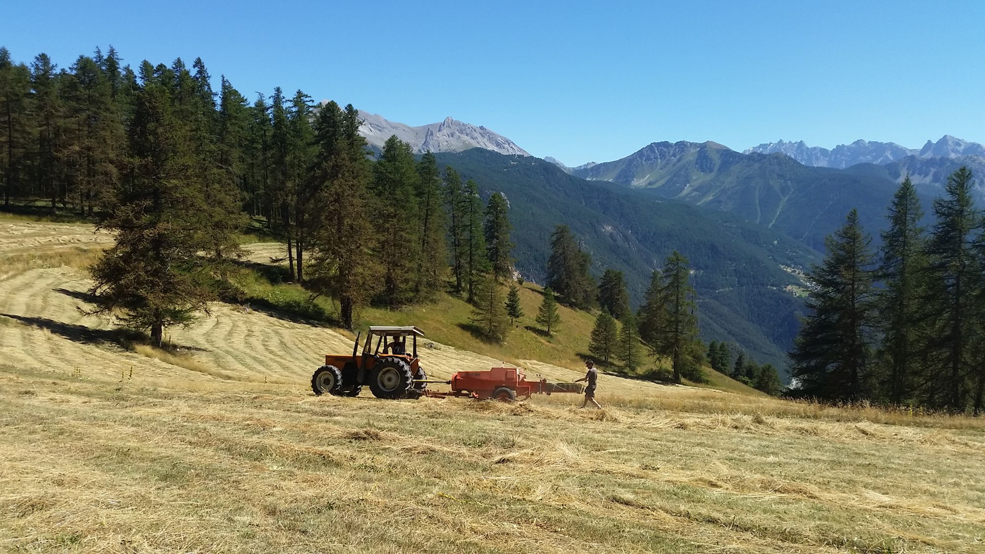 Projet « De la terre à mon assiette » 
