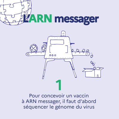 Infographie : fonctionnement d'un vaccin à ARN messager